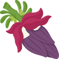 banane fleur légume illustration agrafe art png