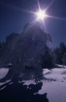 un Nevado paisaje con el Dom brillante brillantemente foto