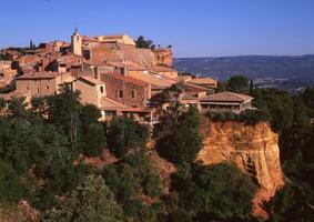 a large hillside with trees photo