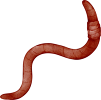 watercolor earthworm clip art png