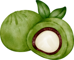 waterverf mochi groen thee klem kunst png