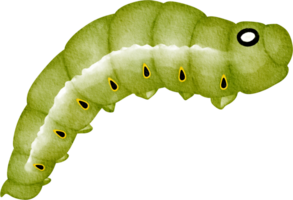 watercolor worm clip art png