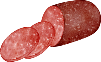 vattenfärg mat salami png