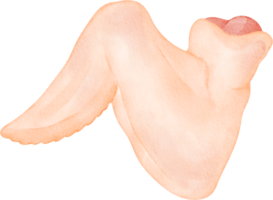 watercolor chicken wing png