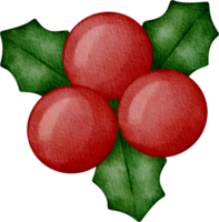 watercolor holly clip art png