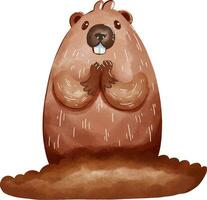 groundhog day cute vector