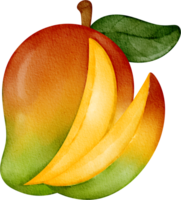 acuarela rebanado mango Fruta png