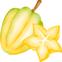 acuarela Fruta estrella Fruta png