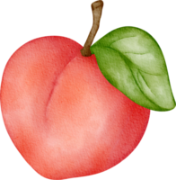 waterverf fruit perzik png