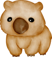 wombat clip art png