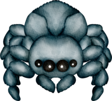 clipart de aranha png