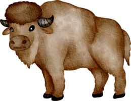 aquarelle bison agrafe art png