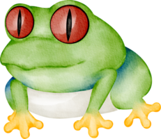 watercolor frog clip art png