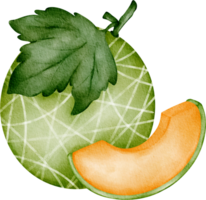 acuarela Fruta melón png