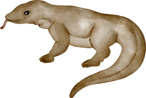 aquarelle Komodo dragon agrafe art png