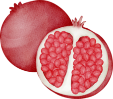 vattenfärg frukt granatäpple png