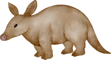 waterverf aardvarken klem kunst png