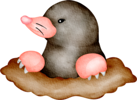 watercolor mole clip art png