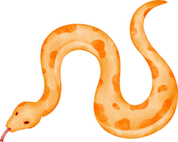 acuarela naranja serpiente acortar Arte png