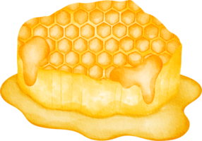 vattenfärg bikupa klämma konst png