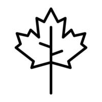 Maple leaf Vector Icon