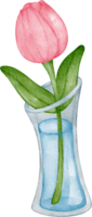 watercolor tulip vase png