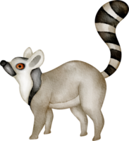 lemur klämma konst png