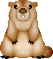 groundhog klämma konst png