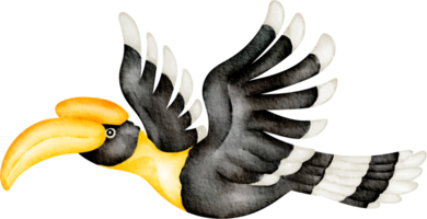 hornbill klämma konst png