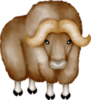 musk ox clip art png