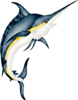 watercolor sea animal swordfish png