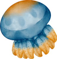 acquerello mare animale Medusa png