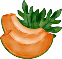 vattenfärg papaya frukt png