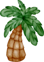 waterverf boom klem kunst png