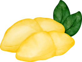 watercolor durian fruit png