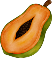 vattenfärg papaya frukt png