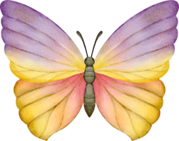 clipart de borboleta em aquarela png