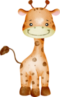 aguarela animal girafa png