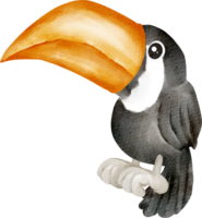 acquerello giungla uccello png