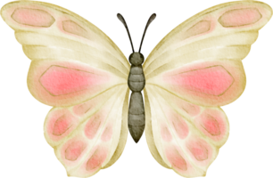 mariposa amarilla acuarela png