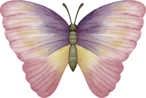 pink butterfly clip art png