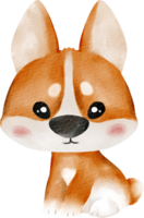 acuarela chiba animal mascota png