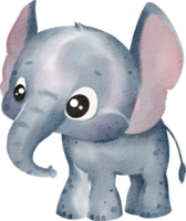 aguarela animal elefante png