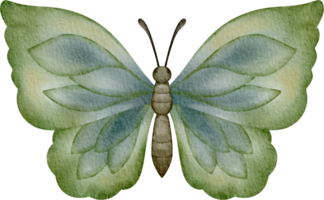 aguarela verde borboleta png