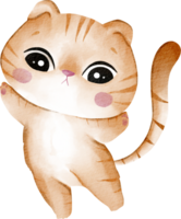 watercolor kitten animal pet png