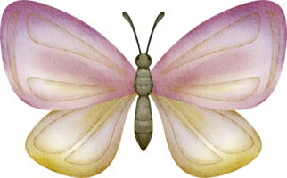 mariposa rosa acuarela png