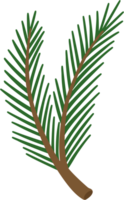 pine branch illustration cartoon png