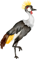 crane bird clip art png