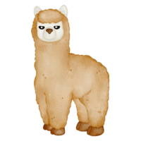 watercolor animal alpaca png