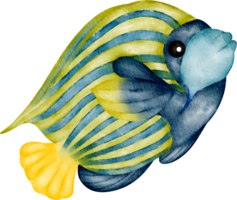 watercolor sea animal sea fish png